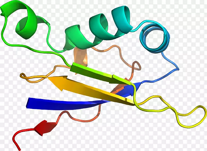 �ߵ������-��-������