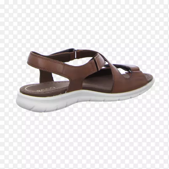 ����Ь-������