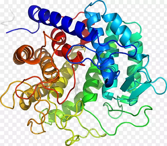 ���������л����߼�������-������