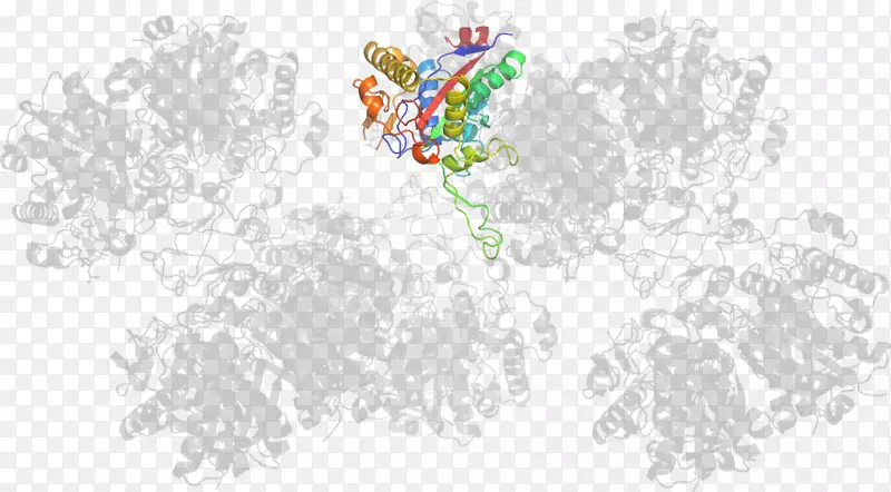 ƽ����������ֽ���-������