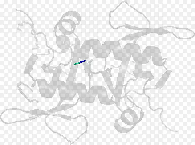 ��ɫ���������-������