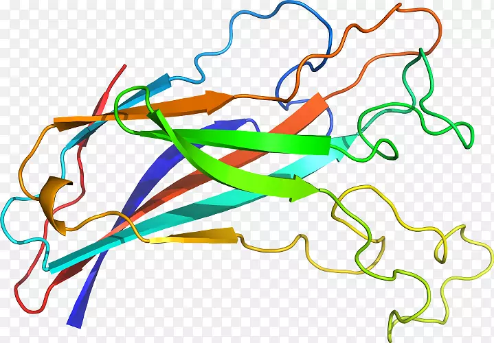 �ߵ������������-������