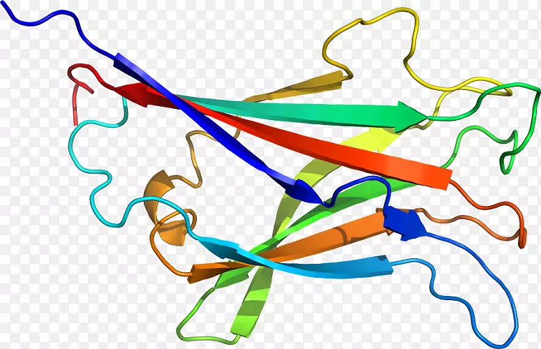 �ߵ������-��-������