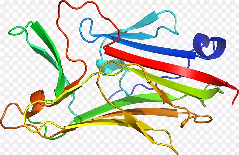 �ߵ������������-������