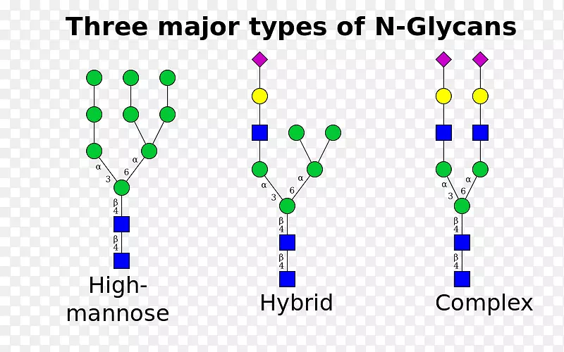 N-�����ǻ�����¶�����춬�����¶��-������