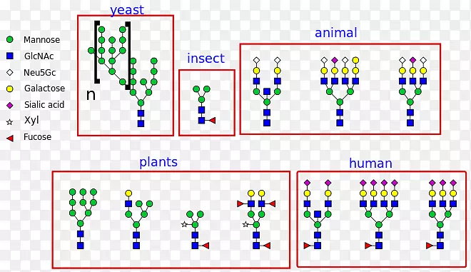 N-�����ǻ����ʰ����춬�����;���-������