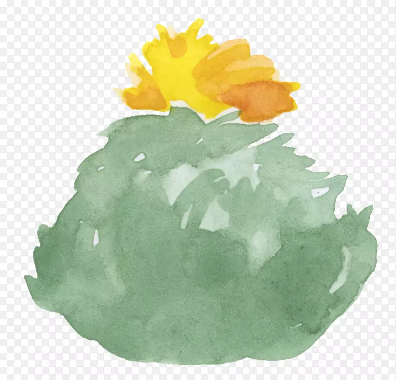 �����ƿ�ˮ�ʻ�������������-������