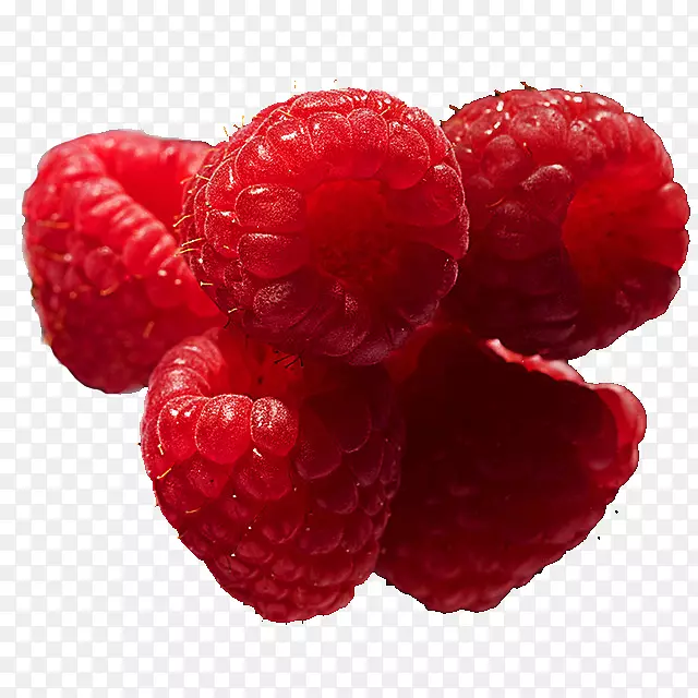 �����Ӻ�ݮ��������-����������-������