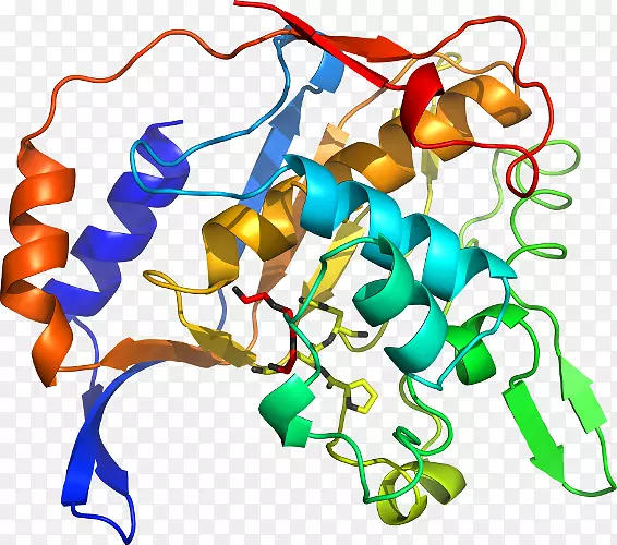 �ߵ������������-������