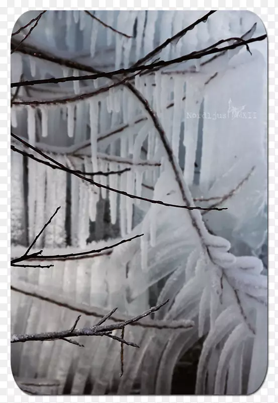 ľ��/��/083 vt��ɫ����ľ��-ľ��-������