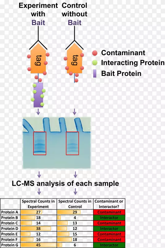 �����ޱ�Ƕ������߳���ϸ�������а������ȶ�ͬλ�ر��-������
