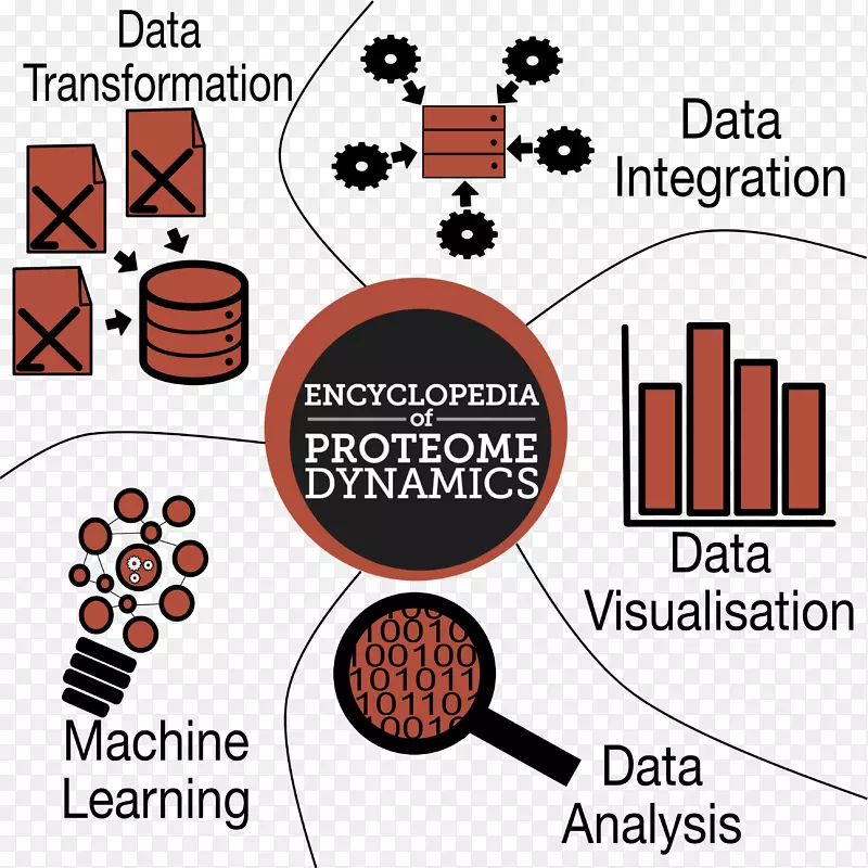 �ߵ����-������