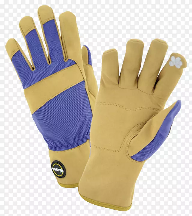 ����Ƥ���������ɽ��Ƥ԰������-������