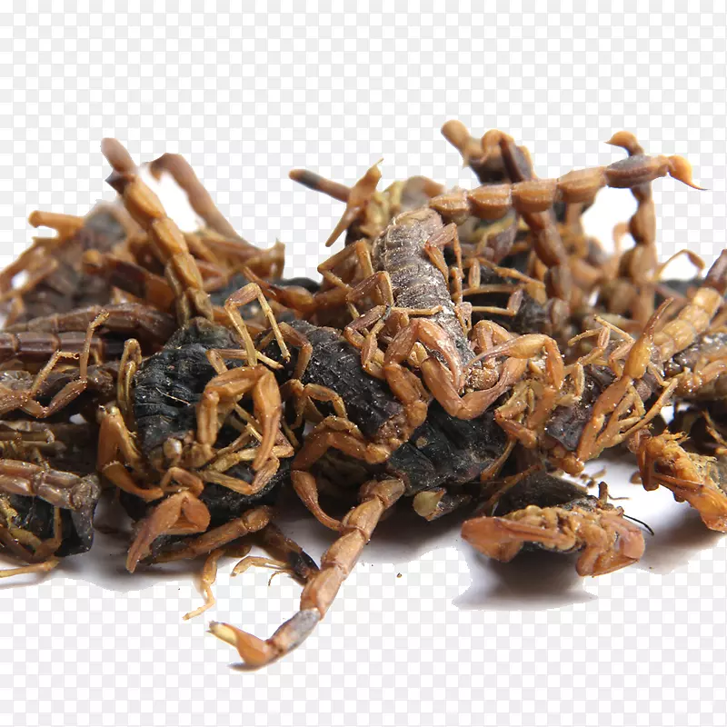 Ы�Ӳݱ�ֲ��-Ы�Ӳݱ�-������