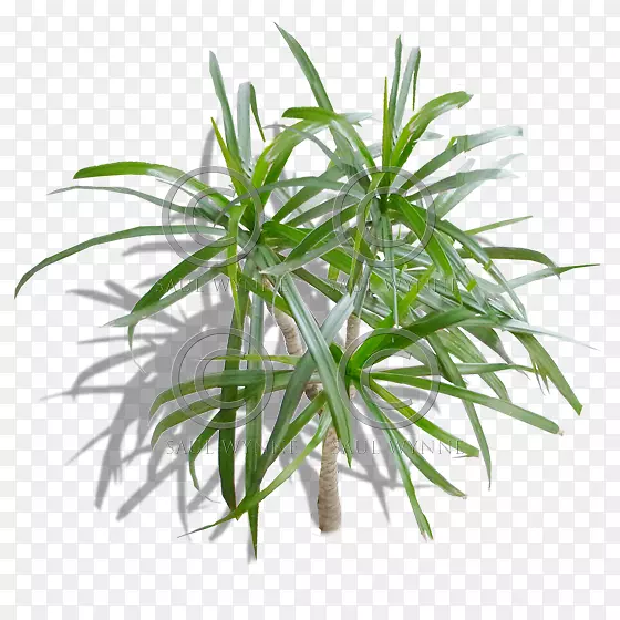 ����ݡ�����ֲ�������ݱ�ֲ�����ͼ-������