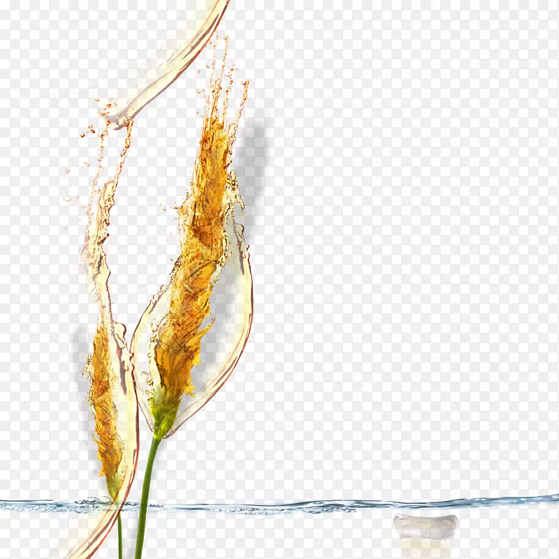 ơ������-ơ�ƽ�-������