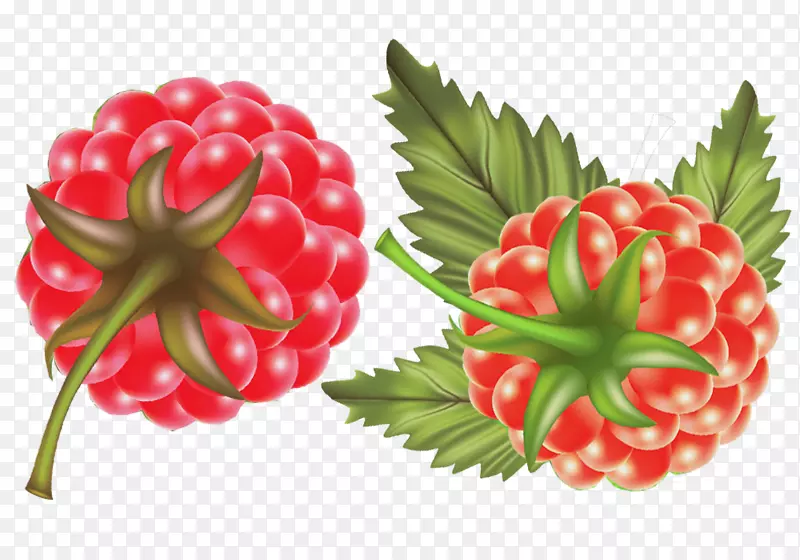 ��ݮ�츲����-��ɿڵĺ���ݮԭ��-������