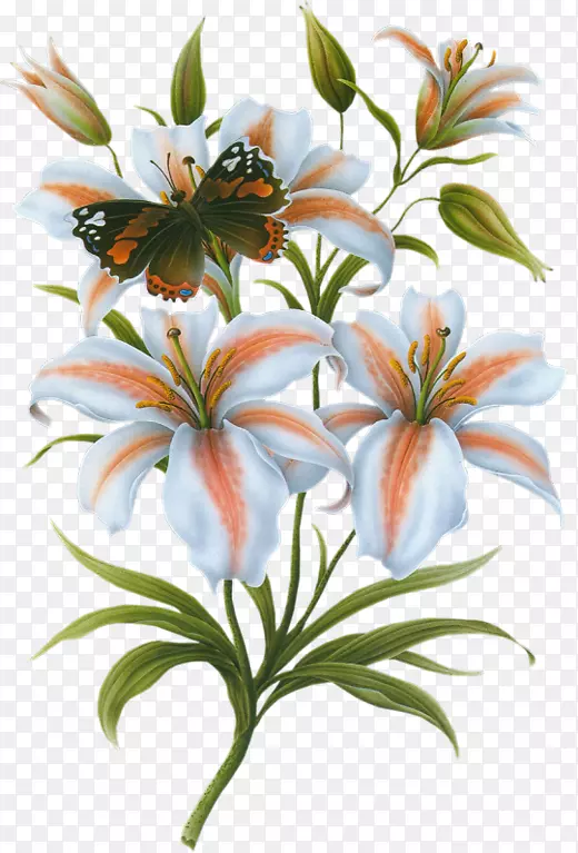 �ٺϻ��ٺϻ�-������