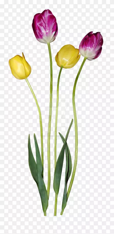 �����㻨��-������-������