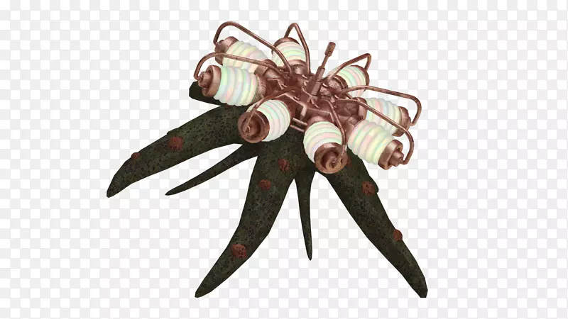 ���������鱦.����-������