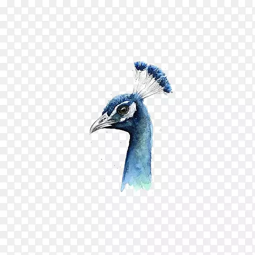 ��ȸˮ�ʻ���ˮ�ʿ�ȸ-������