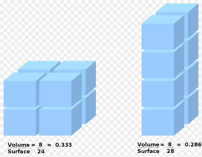 ���׹��������ѧ��������������-��ѧ-������