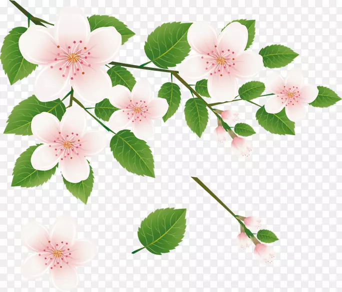 �����ֽ����������-��-������