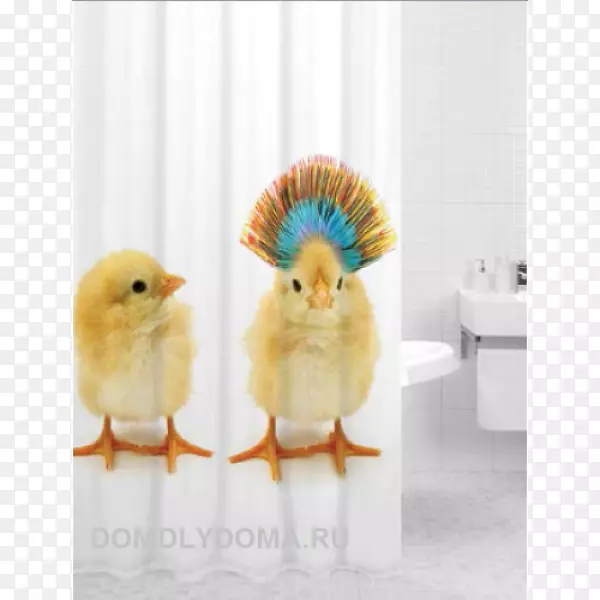 �����ա�����Ī˹������˹��Τ��˹.��A la tortilla�����ֽ���ʹ�ѧ�͸ߵ��о�����¬����0-��ˮ��-������