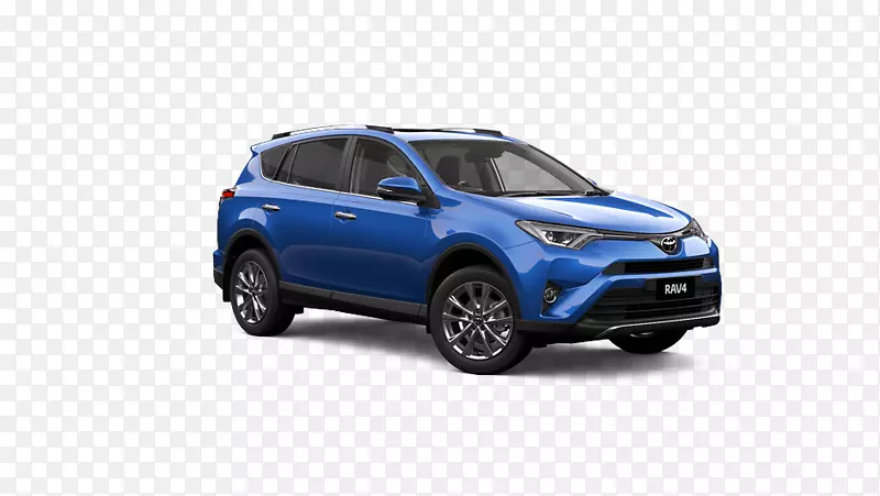 ����RAV 4�γ����ﻨ�ڷ�������˹c-����-������