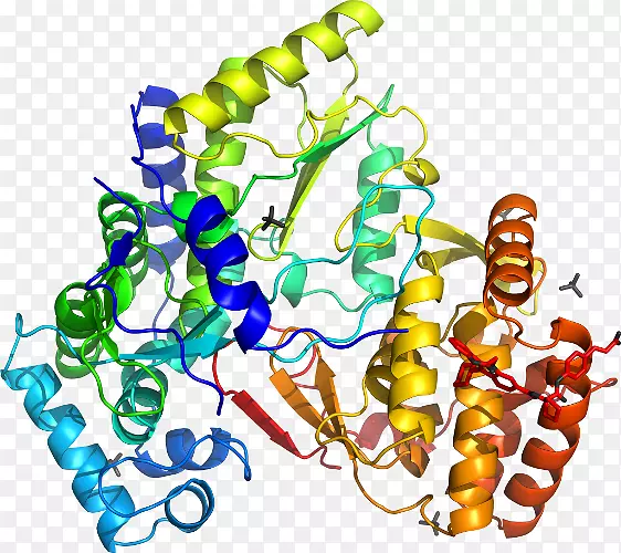 ���������л����߼�������-������