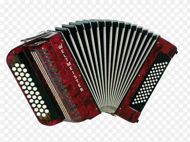 ˫����ť�ַ���Hohner Castagnari�����ַ���-������