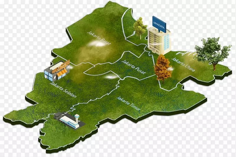 ���ִ���Ҷֲ�ﲡ��ѧ���ֲ���֧������-Ҷ-������