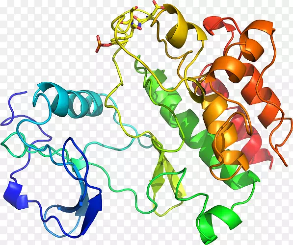 ���������л����߼�������-������