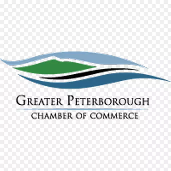 �̱��������-������