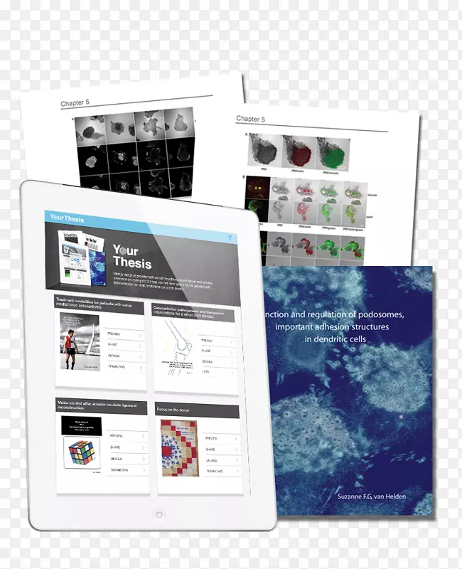 Ʒ�ƶ�ý��-Antwoord-������