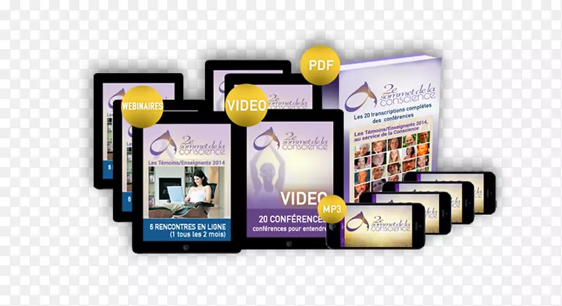 Ʒ�ƶ�ý�����-������