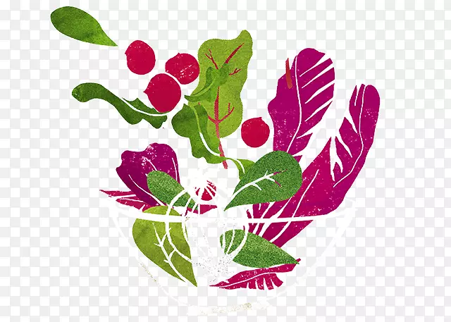 ˮ��ɳ����Ҷ���߲�ʳ�ף��������-ʳ��(��վ���)-������