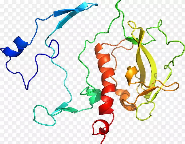 �ߵ������������-������