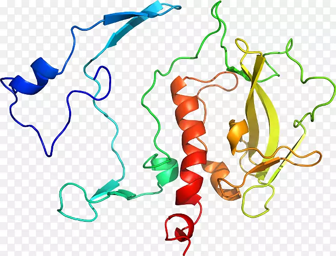 �ߵ������������-������