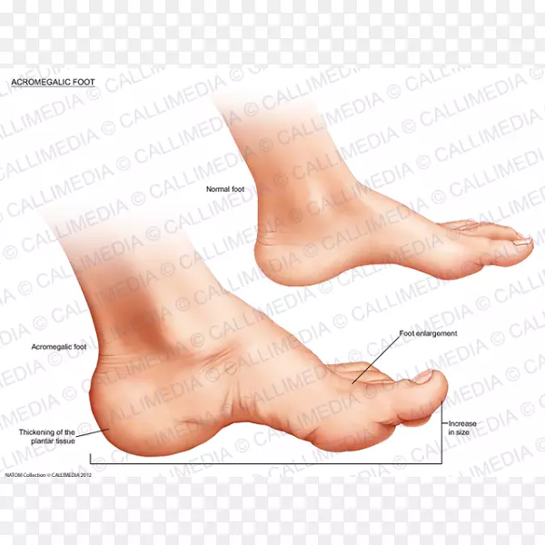 Ĵָ֫�˷ʴ������ڷ���ѧ.����-������