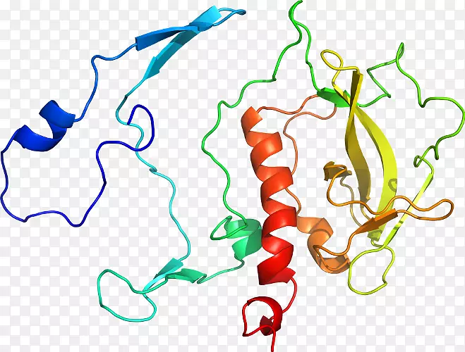 �ߵ������������-������