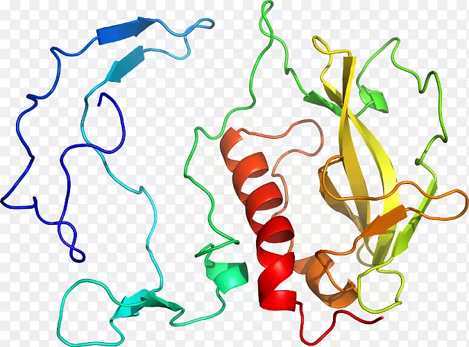 �ߵ������������-������