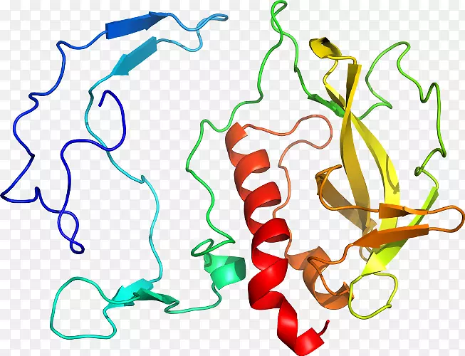 ������Ϊ�л����ߵ��������-������