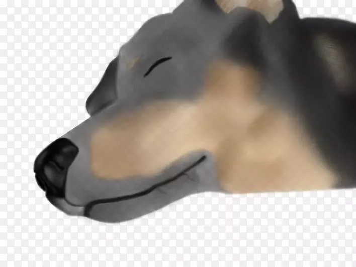 ���°ͱ���-��-������