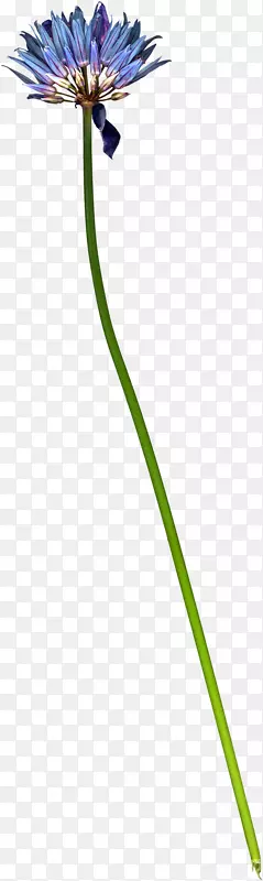 ����-����-������