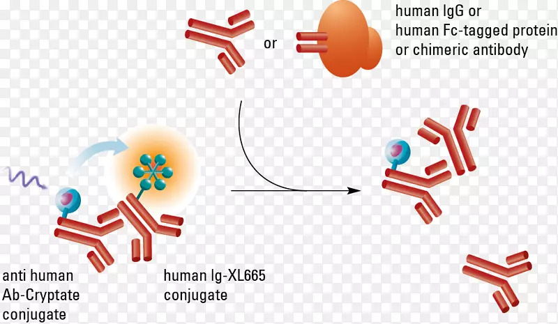 ƽ�����Ʒ���˵���Ϊ���-������