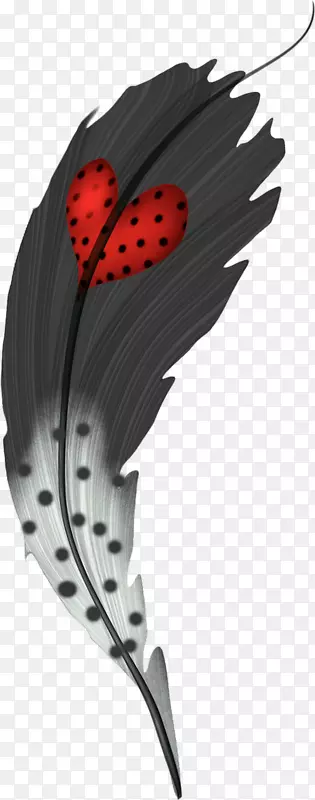 ��ɫ��ë��ɫ��ë��ɫ�Ͱ�ɫ������-��ë-������