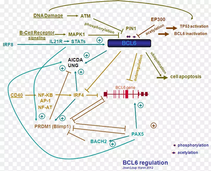 ֱ�ߵ����-������