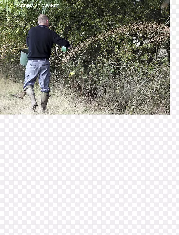 ������ˮ������-��־���-������