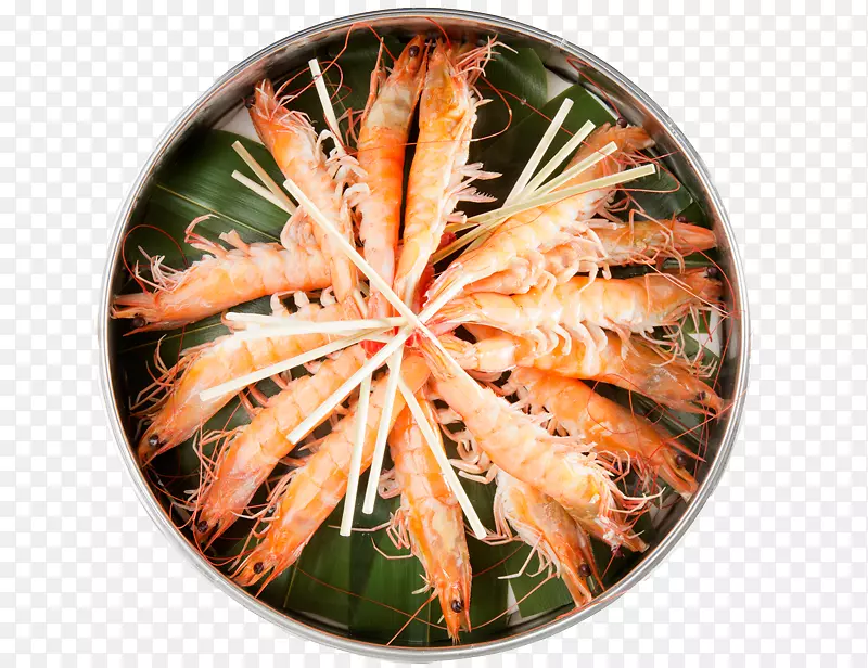 Caridea�е�ʳ���ʶ�Ϻ-��ĩ�ؼ�-������